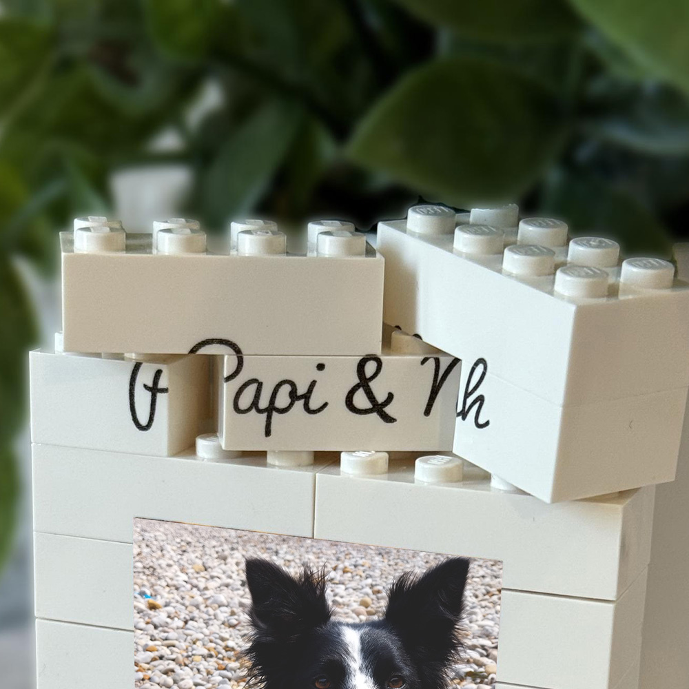 1PC CUSTOM PET Building Blocks - Building Blocks บทวิจารณ์และราคา